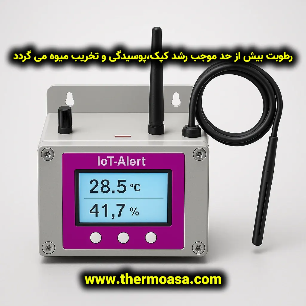 cold storage fruits 4