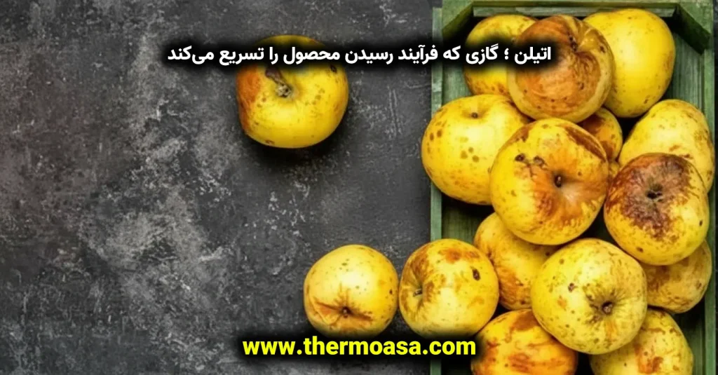 
faiulre-food-in-cold-storage